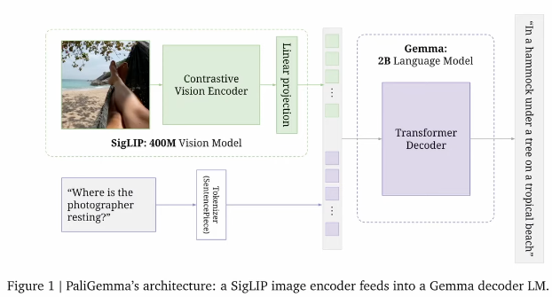 Standard VLM architecture